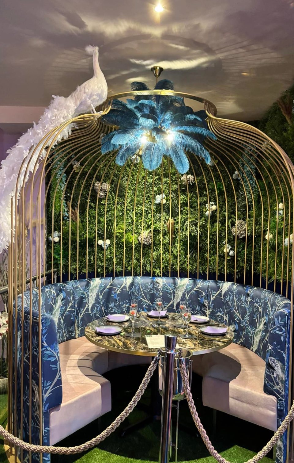 494072698_1295261371971041_5528264709668217448_n